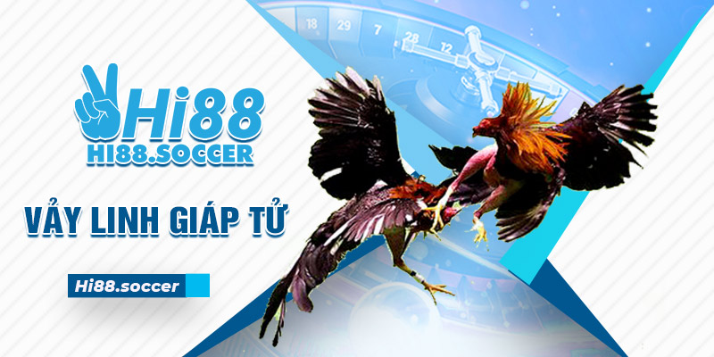 Vảy Linh Giáp Tử - 3 Tiêu Chí Đánh Giá Sức Mạnh Gà Chiến vảy linh giáp tử