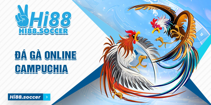Đá Gà Online Campuchia - Cách Tham Gia Cá Độ Đá Gà Campuchia Đá gà online campuchia