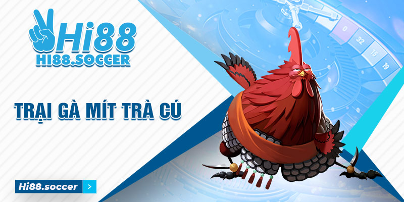 Bật Mí Trại Gà Mít Trà Cú Có Quy Mô Khủng Nhất Tại Miền Tây Trại gà mít trà cú