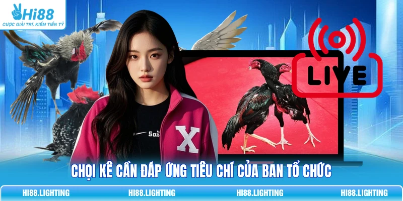 Đá Gà Thomo Là Gì? Tổng Quan Hình Thức Thi Đấu Hot Chọi kê cần đáp ứng tiêu chí của ban tổ chức