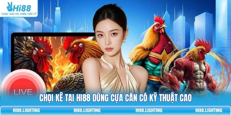 Đá Gà Cựa Tròn Là Gì? Đặc Điểm Của Hình Thức Thi Đấu Chọi kê tại Hi88 dùng cựa cần có kỹ thuật cao