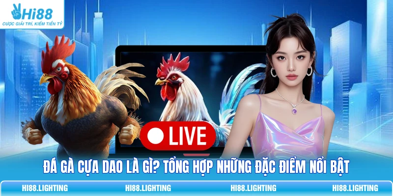 Đá Gà Cựa Dao - Đặc Điểm Của Loại Hình Giải Trí Hấp Dẫn Đá Gà Cựa Dao - Đặc Điểm Của Loại Hình Giải Trí Hấp Dẫn