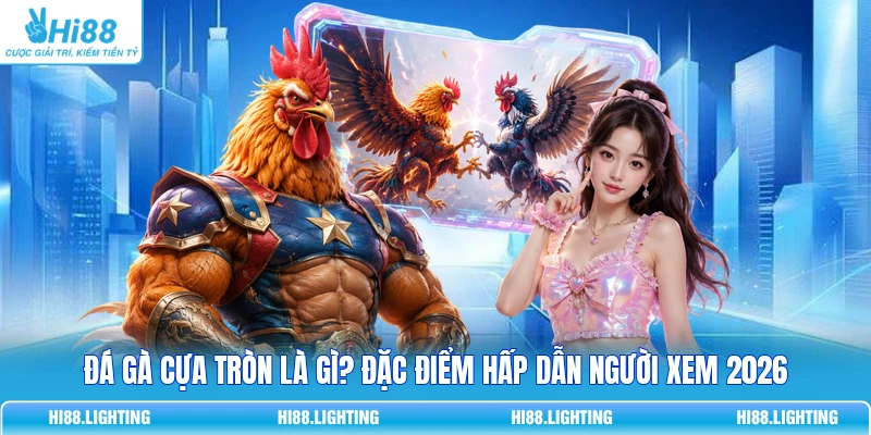 Đá Gà Cựa Tròn Là Gì? Đặc Điểm Của Hình Thức Thi Đấu Đá Gà Cựa Tròn Là Gì? Đặc Điểm Hấp Dẫn Người Xem