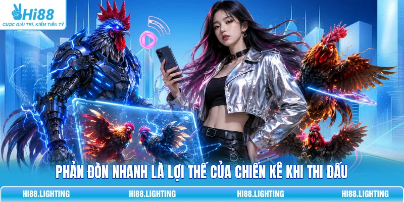 Đá Gà Cựa Dao - Đặc Điểm Của Loại Hình Giải Trí Hấp Dẫn Phản đòn nhanh là lợi thế của chiến kê khi thi đấu