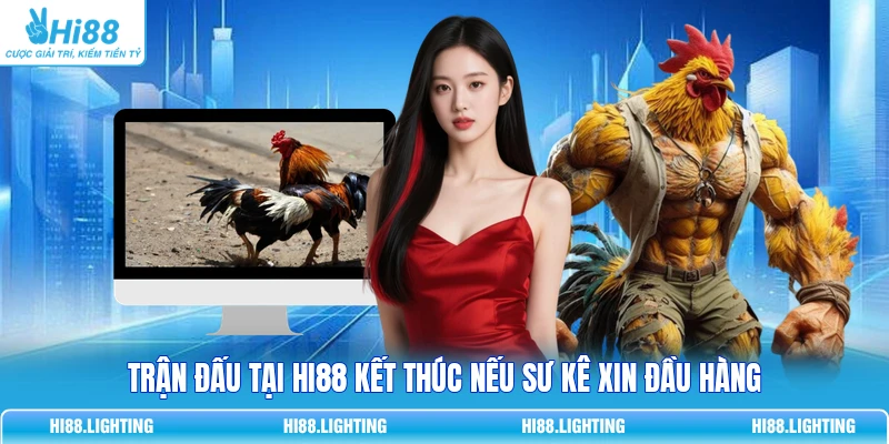 Tình Huống Khiến Trận Đấu Đá Gà Trực Tuyến Kết Thúc? Trận đấu tại Hi88 kết thúc nếu sư kê xin đầu hàng