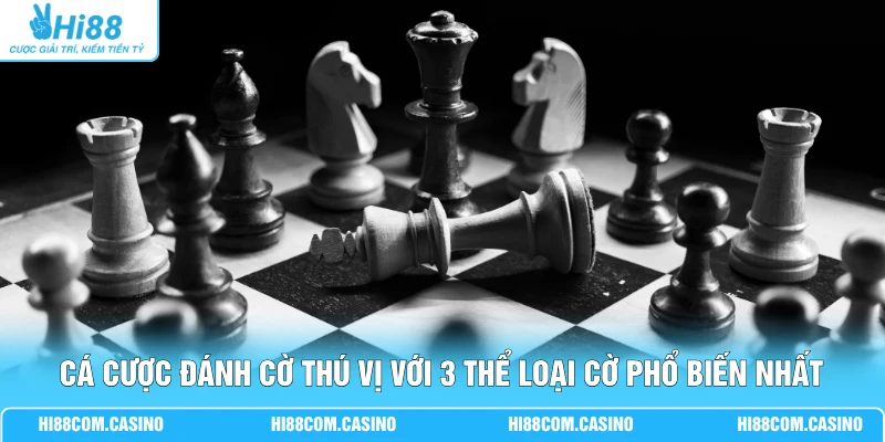 Cá Cược Đánh Cờ Thú Vị Với 3 Thể Loại Cờ Phổ Biến Nhất Cá Cược Đánh Cờ Thú Vị Với 3 Thể Loại Cờ Phổ Biến Nhất