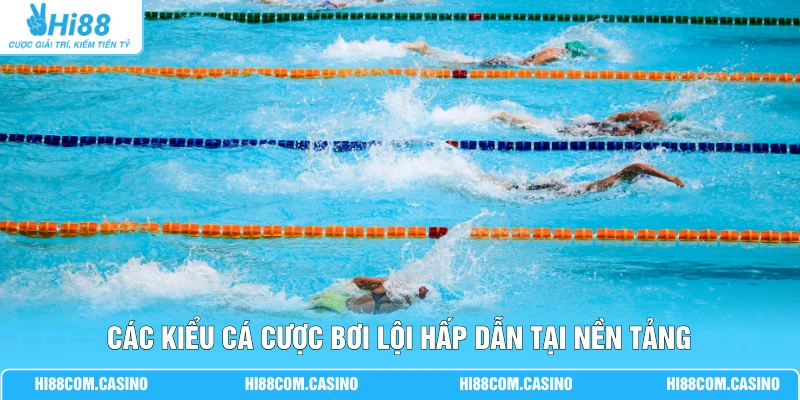 Cá Cược Bơi Lội - Phân Tích 3 Hình Thức Soi Kèo Phổ Biến Các kiểu cá cược bơi lội hấp dẫn tại nền tảng