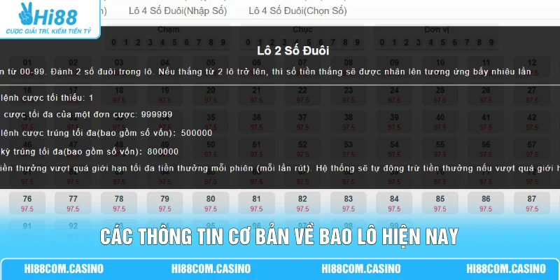 Bao Lô Là Gì? Hướng Dẫn 3 Thể Loại Thường Gặp Hiện Nay Các thông tin cơ bản về bao lô hiện nay