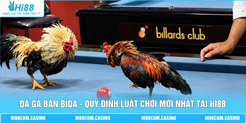 Đá Gà Bàn Bida - Quy Định Luật Chơi Mới Nhất Tại Hi88 Đá Gà Bàn Bida - Quy Định Luật Chơi Mới Nhất Tại Hi88