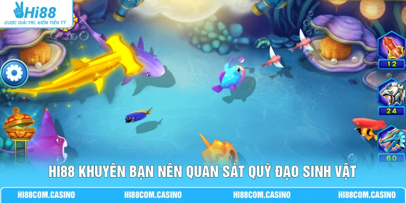 JDB Bắn Cá Thần Tài - Săn Boss Kiếm Tiền Khủng Mỗi Ngày Hi88 khuyên bạn nên quan sát quỹ đạo sinh vật