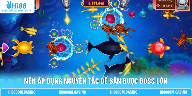 Thám Hiểm Long Cung - Săn Boss 50.000 Xu Qua 5 Vùng Biển Nên áp dụng nguyên tắc để săn được boss lớn
