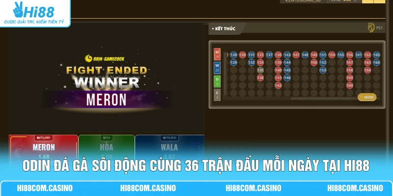ODIN Đá Gà Sôi Động Cùng 36 Trận Đấu Mỗi Ngày Tại Hi88 ODIN Đá Gà Sôi Động Cùng 36 Trận Đấu Mỗi Ngày Tại Hi88