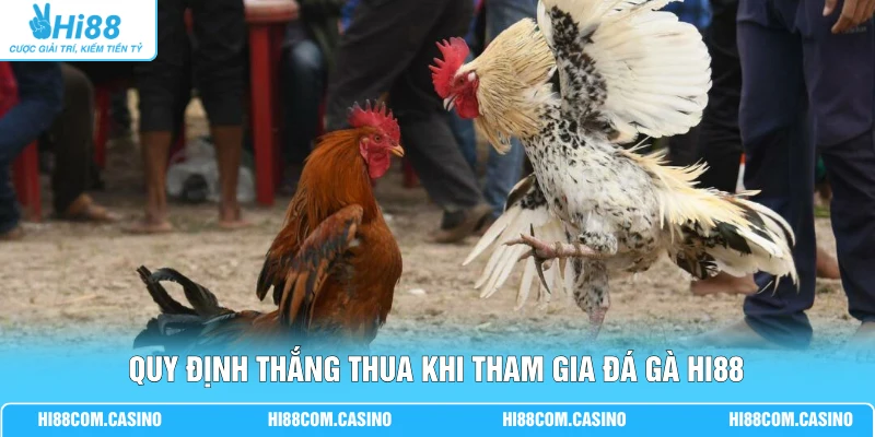 Đá Gà Sabong - Hướng Dẫn Cá Cược, Luật Chơi Mới Hiện Nay Quy định thắng thua khi tham gia đá gà Hi88