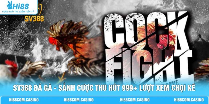 SV388 Đá Gà - Sảnh Cược Thu Hút 999+ Lượt Xem Chọi Kê SV388 Đá Gà - Sảnh Cược Thu Hút 999+ Lượt Xem Chọi Kê