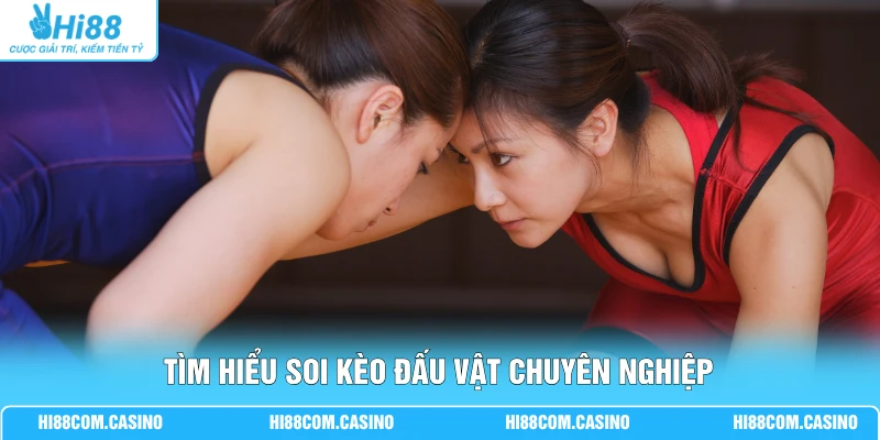 Cá Cược Đấu Vật - 3 Phút Thắng Đậm Nhận Về Thưởng Lớn Tìm hiểu soi kèo đấu vật chuyên nghiệp
